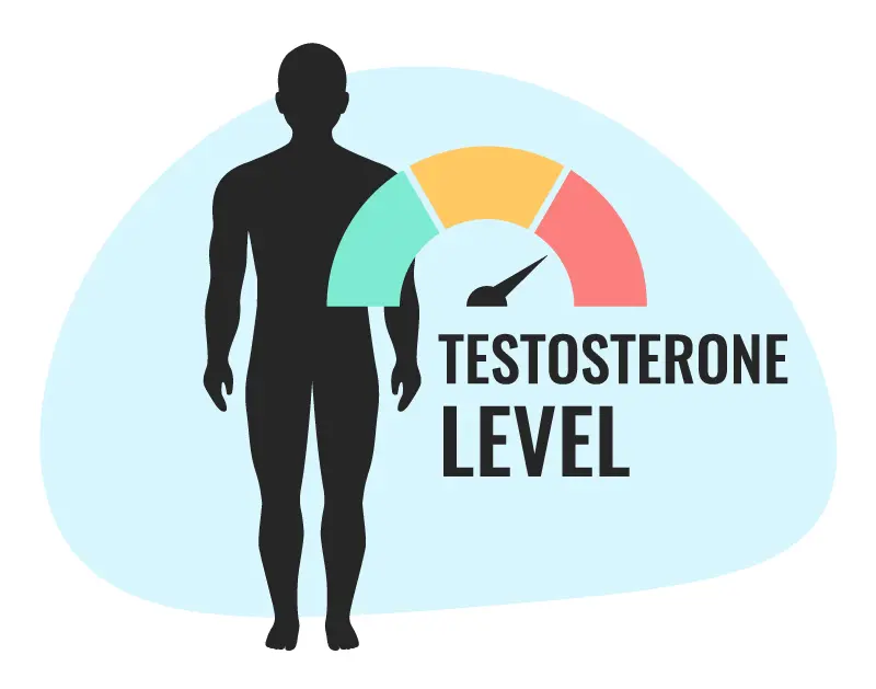 testosterone