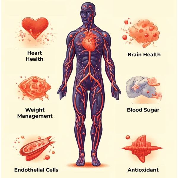 Alpha Lipoic Acid