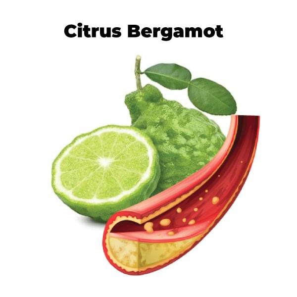 citrus bergamot
