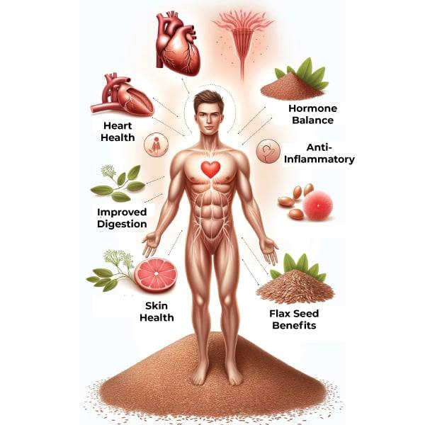 Flax Seed Powder