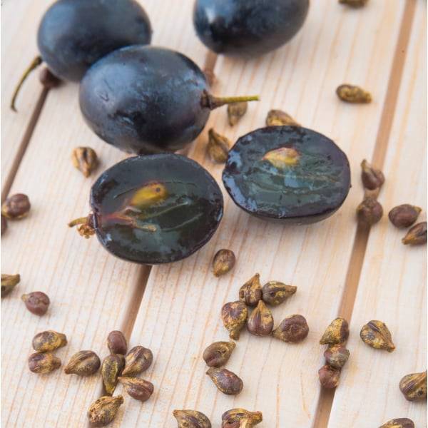 Grape Seed Extract