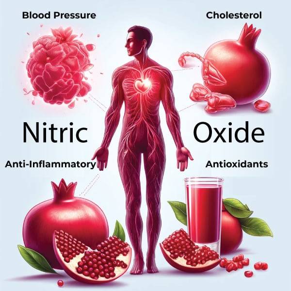 Pomegranate nitric oxide