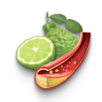Citrus Bergamot