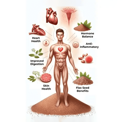 Flax seed Powder