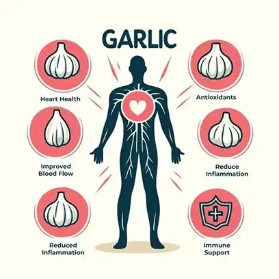 Garlic