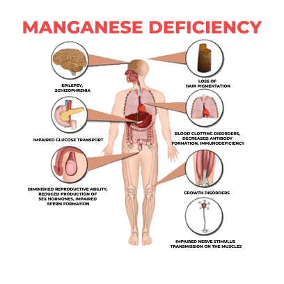 Manganese