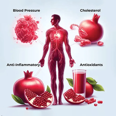 Pomegranate