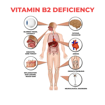 vitamin b2